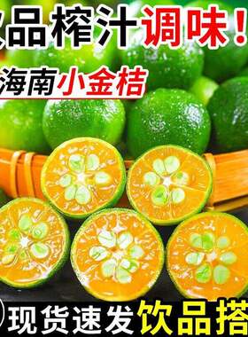 海南小金桔5斤新鲜青金桔柠檬水果奶茶专用当季小青柠桔金橘整箱