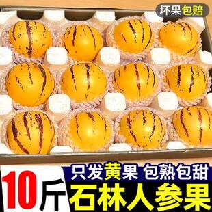 石林人参果云南圆果树上熟当季新鲜孕妇水果黄肉人生果大果整箱