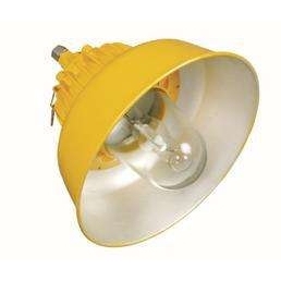 平台 BPC8700防爆道路 灯70W150W100W250W400W