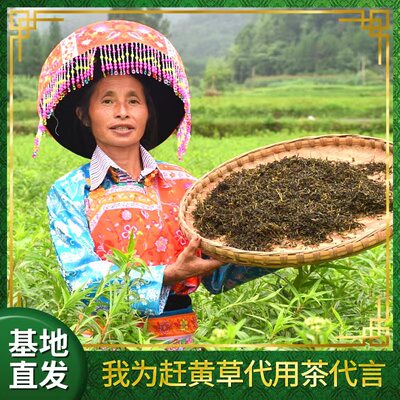 四川古蔺赶黄草叶茶包非野生养生茶