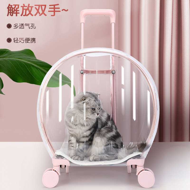 新款PC 宠物拉杆箱透明猫包航空箱狗狗外出宠物手提便携泡泡箱