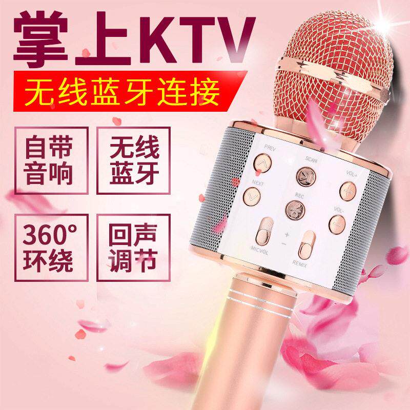 跨境ws858手机k歌卡拉ok无线蓝牙电容麦克风儿童歌话筒音响一体