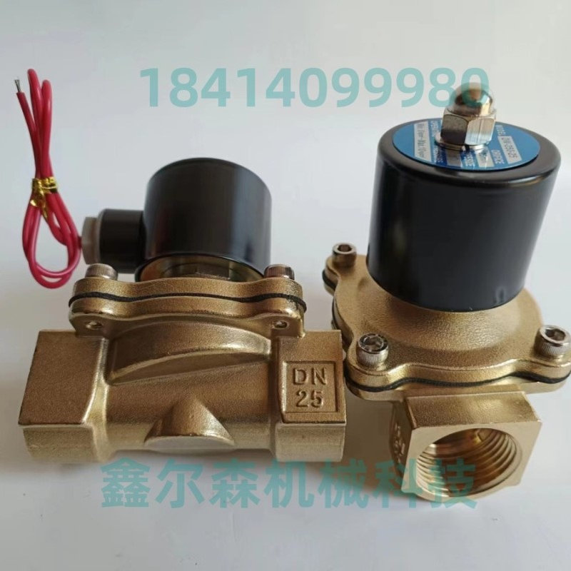 2W-250-25 DC24V 25mm 2W-500-50 DC24V 50mm 二位二通电磁阀