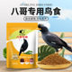 八哥鸟食鸟粮厂家直供开元 500g鹩哥饲料添加益生菌鸟粮鸟饲料