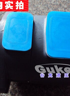 子母叶片泵SQP1/2/3/4-12-14-21-17-19-45-57-60-75-38-66高压泵