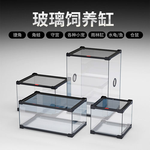 乌龟玻璃缸蛇雨林缸爬虫缸爬宠蜥蜴角蛙守宫蜘蛛专用饲养箱养殖盒