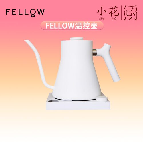 Fellow Stagg温控壶 恒温手冲壶细嘴手冲咖啡壶EKG杜嘉宁B壶