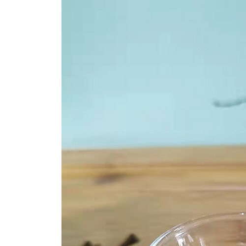 10个装耐热玻璃迷你品茗杯40ml玉兰杯蜡烛杯家用茶杯茶碗功夫茶具