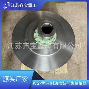 WGP型鼓形齿联轴器 III型带制动盘鼓形齿联轴器 WGP8 710