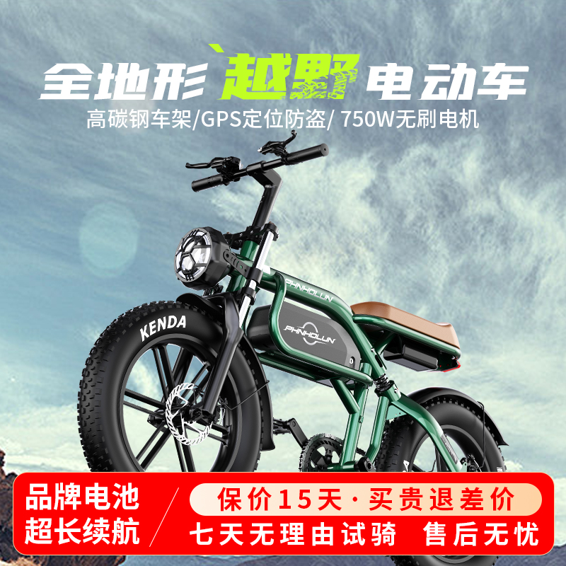 智能电动越野助力自行车电瓶车锂电池男女20寸全地形成人沙地车
