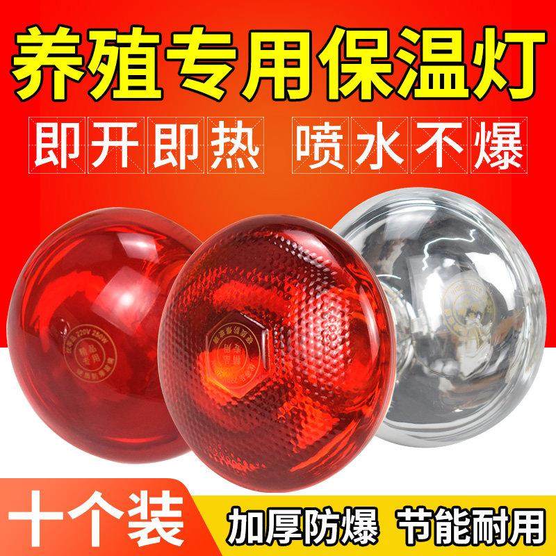 猪用保温灯鸭兽鸡用小鸡育雏加热加温保暖仔猪取暖灯泡烤养殖专用,畜牧/养殖物资,养殖保温灯,淘宝优惠券,粉丝福利购,淘宝优惠卷