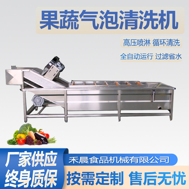 商用叶菜类气泡清洗机辣椒小米辣柑橘喷淋消毒去农残设备蔬果