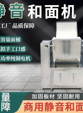 大型商业用静音和面机卧式100kg全自动揉面搅拌机不锈钢电动打面