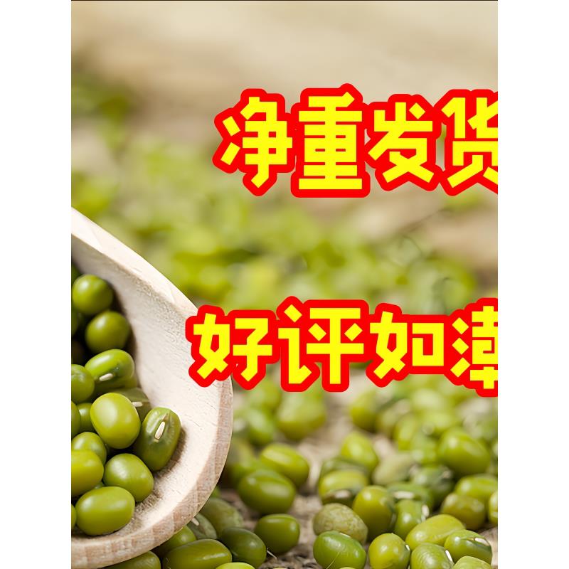 东北绿豆农家薄皮新货易沙易煮绿小豆颗粒饱满粗粮小包装可发芽豆