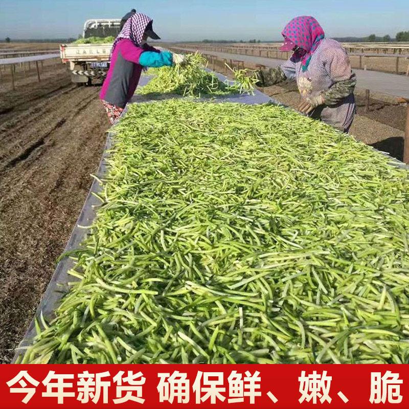 东北农家自晒萝卜干原味青萝卜干老式无盐萝卜丝风乾商用绿萝卜条