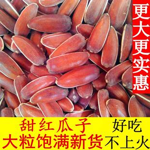 云南生红瓜子大颗粒散装小包装原味甜糯新货零食红皮瓜子生葵花籽