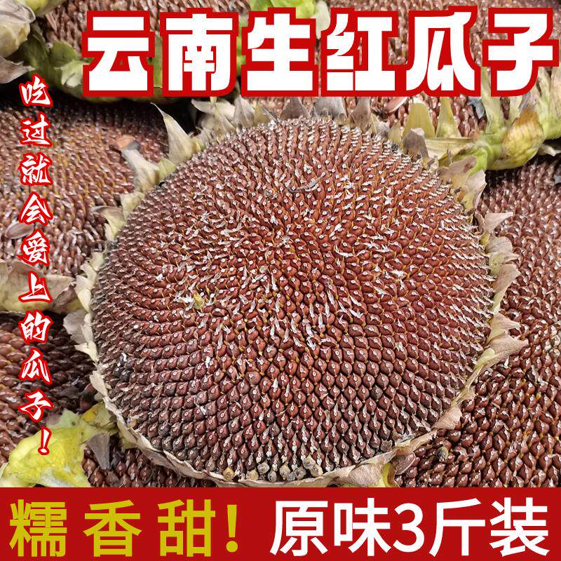 2024新货水果红瓜子3斤云南高山红皮瓜子糯香甜原味生瓜子葵花籽