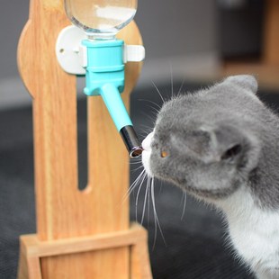 喵仙儿宠物饮水器实木架子竹木橡木狗狗喝水器宠物挂式猫狗水壶