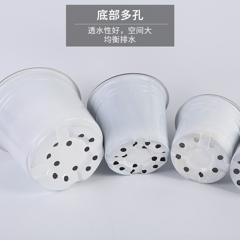 一次性双色特大号育苗盆加厚塑料育苗杯营养钵种植盆白色简易花盆,鲜花速递/花卉仿真/绿植园艺,育苗盘/营养钵,淘宝优惠券,粉丝福利购,淘宝优惠卷