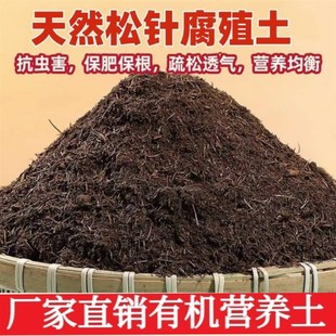 腐熟松针腐殖土腐叶土家用有机营养土种菜盆栽通用型专用养花土壤