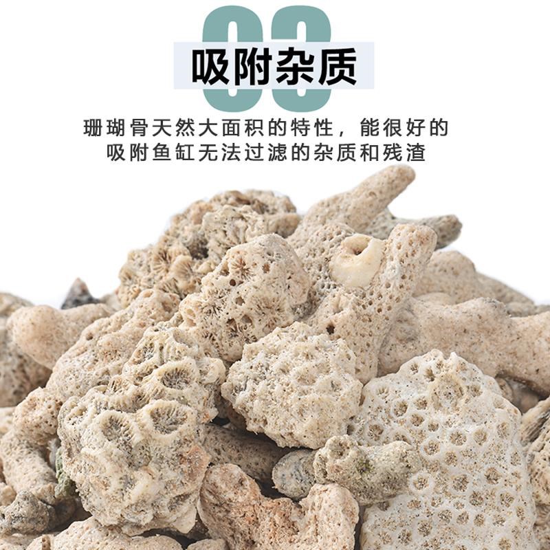天然珊瑚骨滤材鱼缸过滤材料净水珊瑚石净化珊瑚砂鱼缸滤材图片