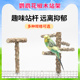 虎皮鹦鹉花椒木站杆牡丹玄凤鸟站杆磨爪磨嘴站架鸟栖息花椒木站架