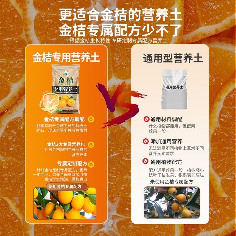 金桔专用营养土有机肥料果树种植土家庭盆栽种植花泥养花通用型土,鲜花速递/花卉仿真/绿植园艺,介质/营养土,淘宝优惠券,粉丝福利购,淘宝优惠卷