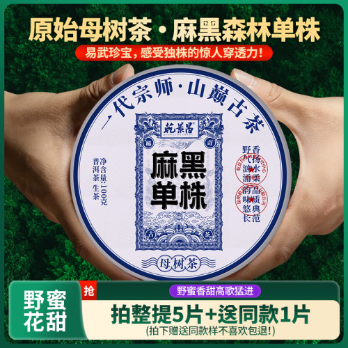 乾景昌2026年头春茶《麻黑单株》易武古树普洱茶生茶100g饼茶