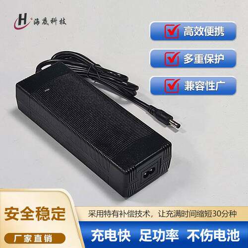 12.6V10A14.6V10A16.8V8A25.2V5A29.4V5A充电器