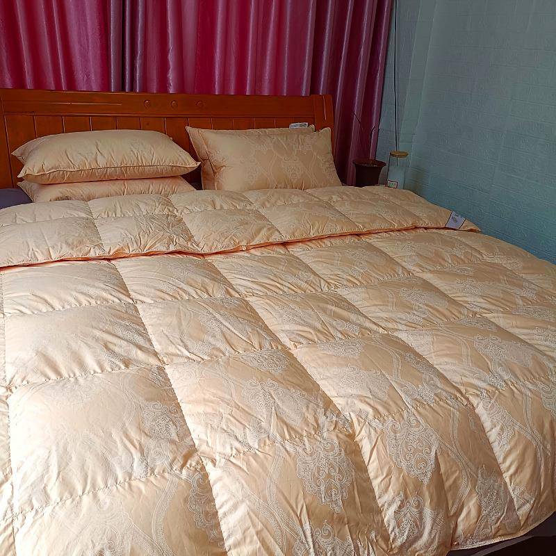 家纺羽绒羽毛被95%白鹅绒加厚立体被子双人鹅绒被