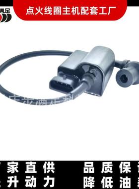 适用比亚乔FLY100淑女银帅点火线圈IgnitionCoil高压包摩托车配件