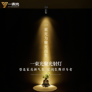 一束光4000K中性光轨道灯明装客厅博物馆艺术品氛围餐饮吸顶射灯