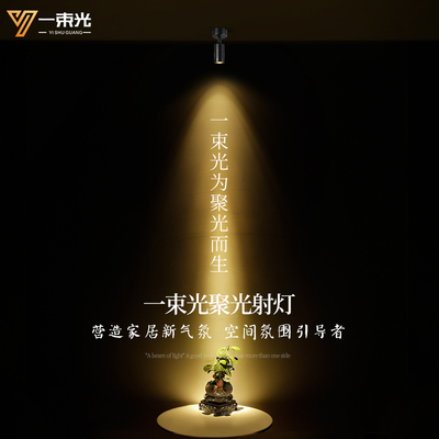 一束光4000K中性光轨道灯明装客厅博物馆艺术品氛围餐饮吸顶射灯