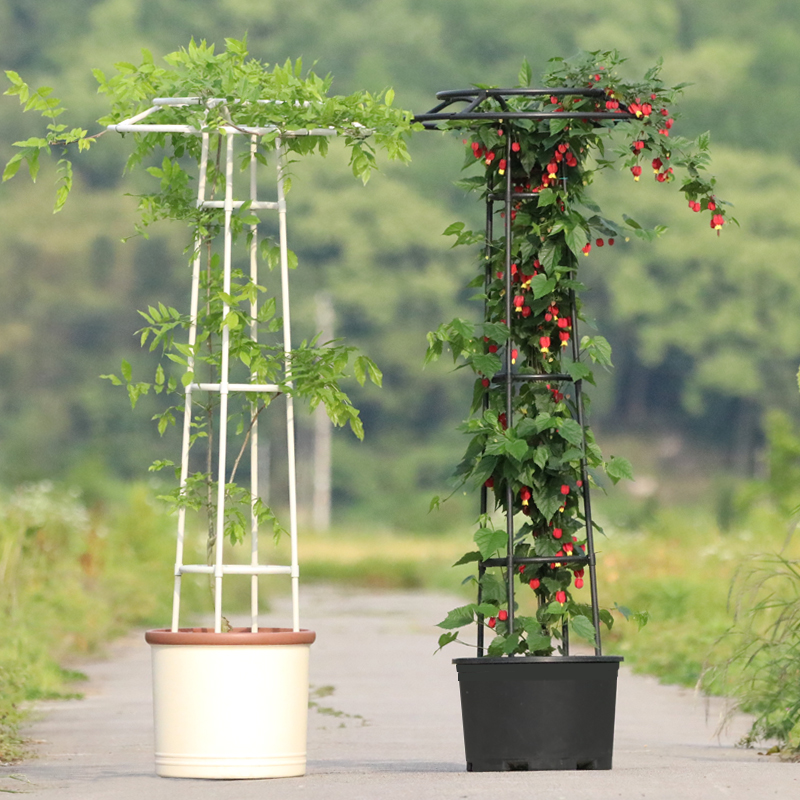 新款伞型14mm管径花架爬藤架户外花卉攀爬架花支架月季铁线莲