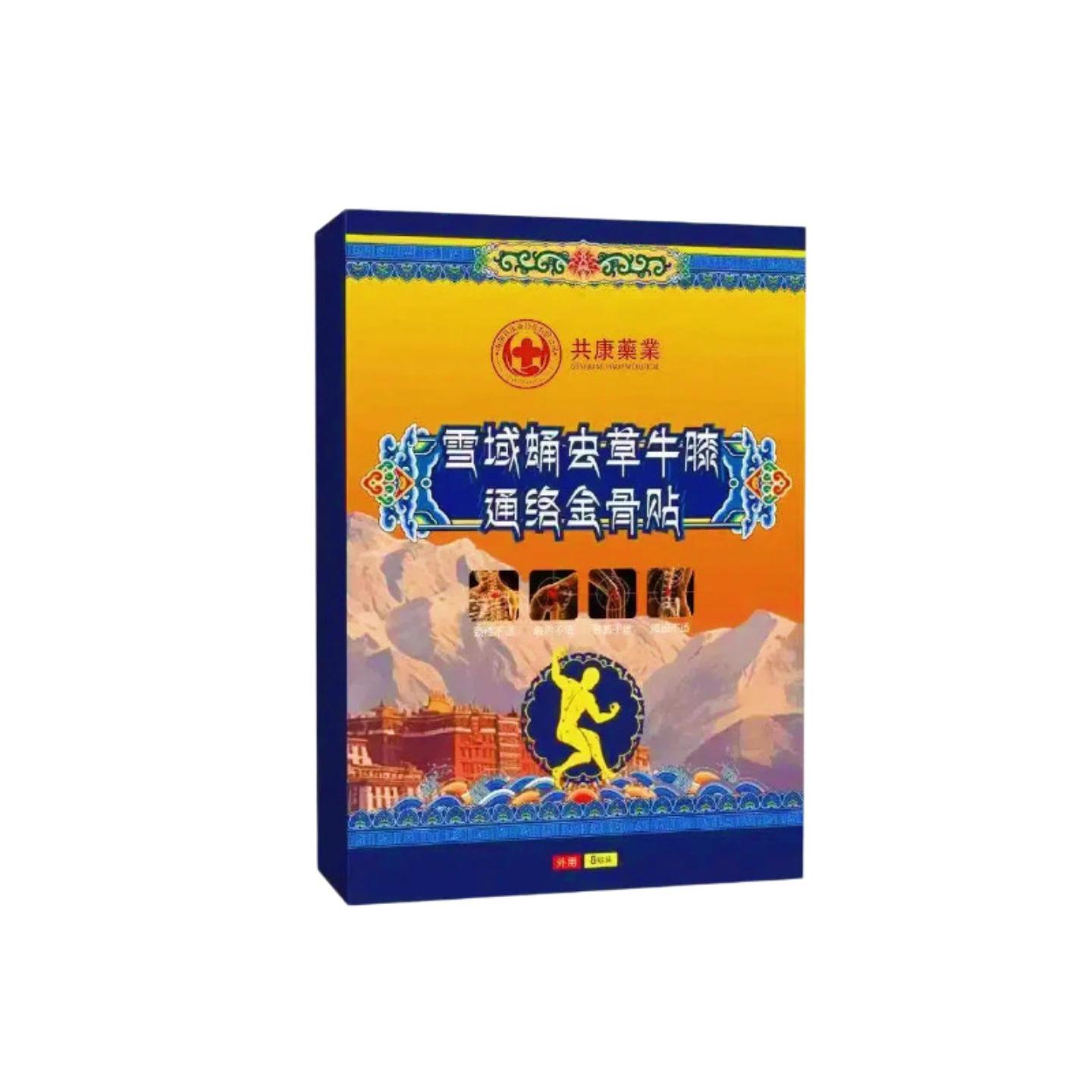 共康雪域蛹虫草牛膝通络金骨贴