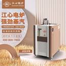 熨烫蒸汽发生器水泥桥梁养护蒸汽锅炉 电锅炉电加热全自动服装
