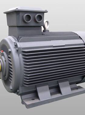 ye3-355L-2/4/6p三相交应鼠笼异步电机315/250w机械设备通用