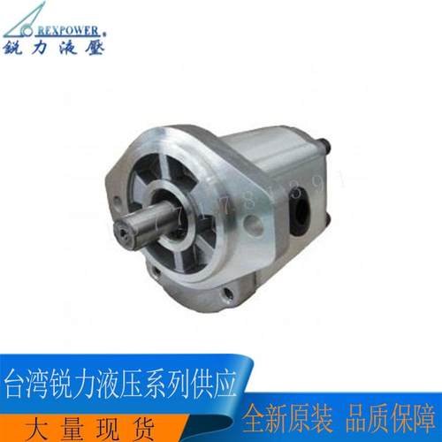台湾REXPOWER锐力齿轮泵RGP-F130R RGP-F140R RGP-F201R F201R-12