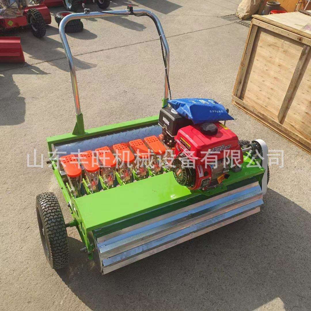 新款苜蓿草籽点播机 手推蔬菜播种机 谷子药材蔬菜播种机