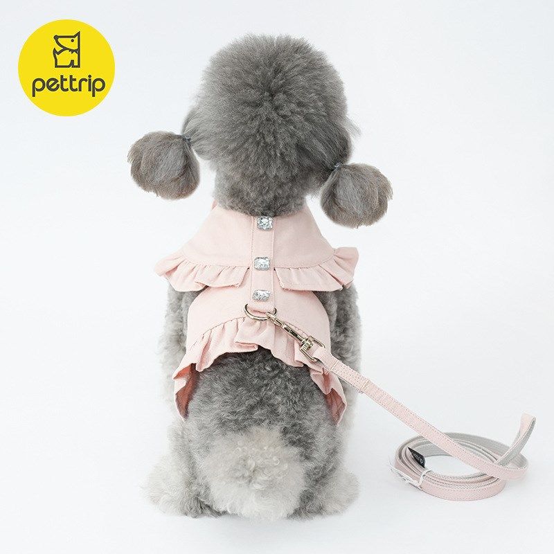 宠物猫狗外出胸背服牵引绳猫咪狗狗泰迪博美帆布装饰扣胸背衣套装,宠物/宠物食品及用品,狗牵引绳,淘宝优惠券,粉丝福利购,淘宝优惠卷