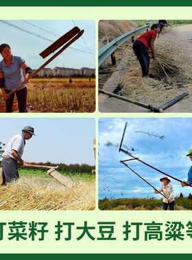 农村打油菜籽工具收菜籽农具连盖连枷打谷子大豆高粱小麦专用梿枷