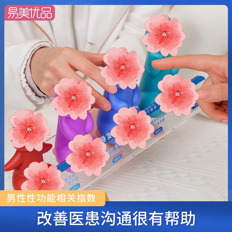 男性丁丁软硬大小程度科普模型一触究竟医学科普性功能辅助用具