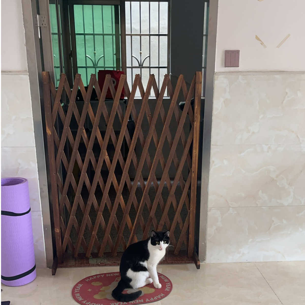 宠物围栏栅栏隔离门户外室内伸缩隔断拦猫拦狗栅栏挡板隔离网门栏