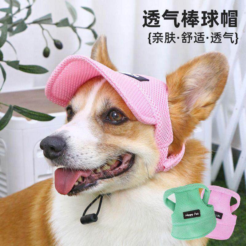帽子漏耳透气金毛狗狗帽子夏日遮光防晒寵物帽子新款跨境宠物