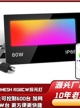新款MESH蓝牙投光灯双色智能语音定时泛光灯户外IP66RGBCW景观灯