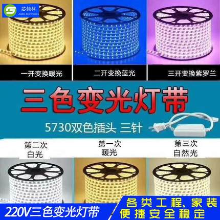 220V双色温灯带LED三色软灯条客厅吊顶家装装修5730高压变色节能