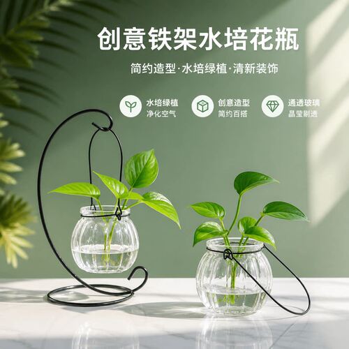 铁架办公室水培花瓶玻璃绿植摆件