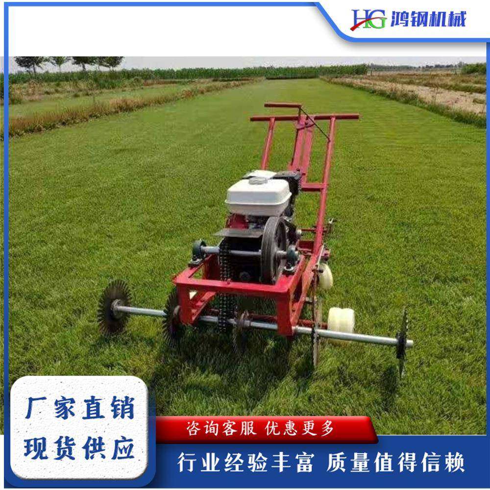 手推式草坪划线机小型运动草皮移植机汽油动力天然草皮画线设备,鲜花速递/花卉仿真/绿植园艺,铲子,淘宝优惠券,粉丝福利购,淘宝优惠卷