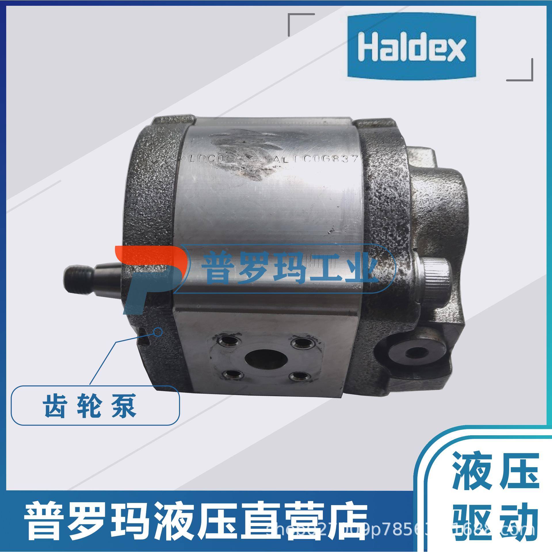 齿轮泵WP09A1B190R03BA121N/180202国产代替现货供应