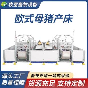 国标2.5母猪产床欧式 母猪产床保育床一体分娩床猪用产床